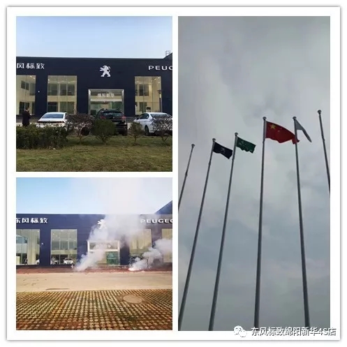 11.webp.jpg 11.webp.jpg